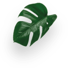 Starbucks&reg; Caramel Macchiato decoration Image